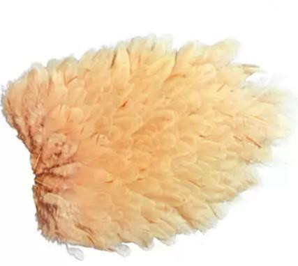 Hen Saddle Patches