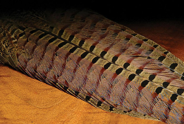 Hareline Ringneck Pheasant Tail Clump