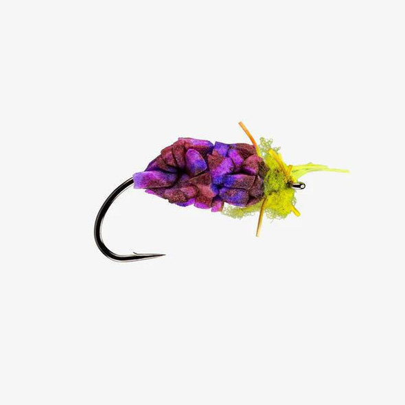 Mulberry