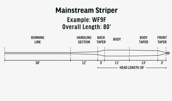 Rio Mainstream Striper Line