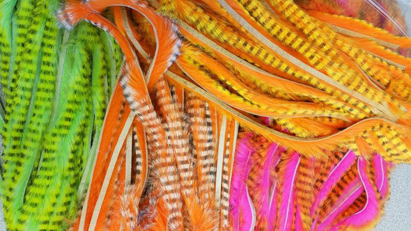 Magnum Tiger Barred Rabbit Strips
