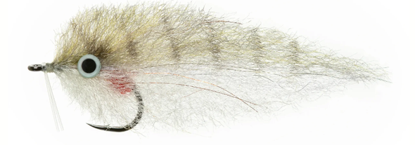 EP Pinfish Mini