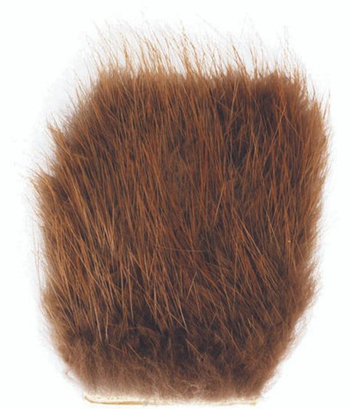 Beaver, Large