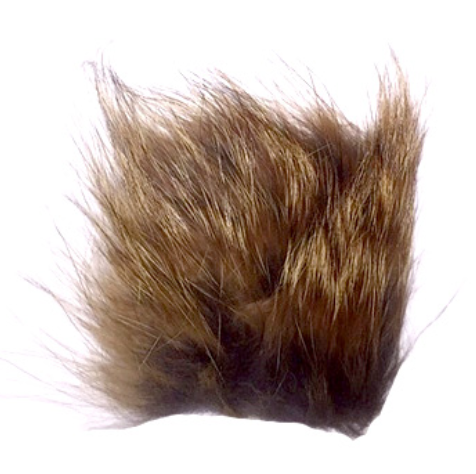Red Fox