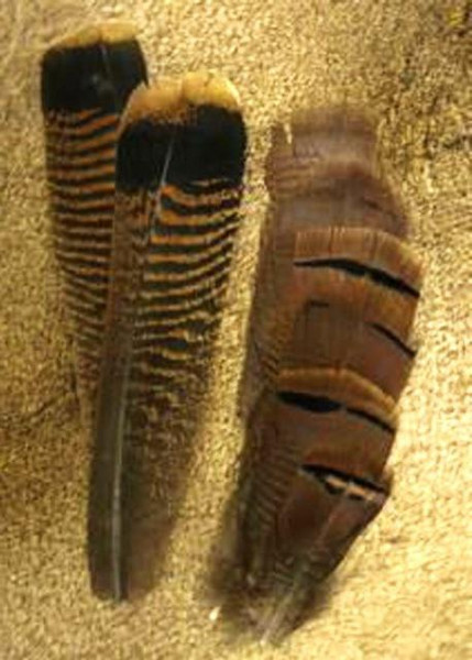 Nature's Spirit Ozark Oak Mottled Turkey Cinnamon Tip