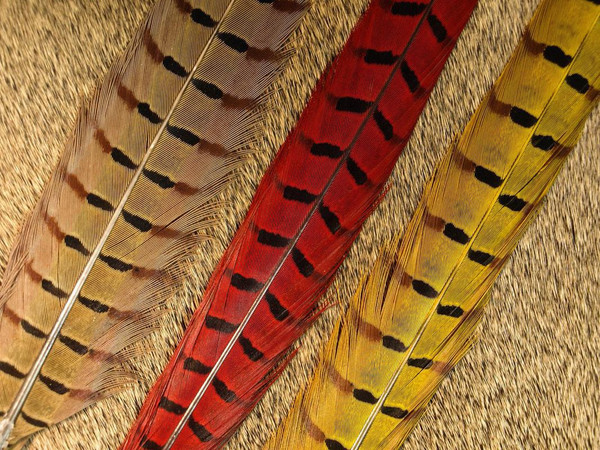 Nature's Spirit Ringneck Pheasant Center Tails