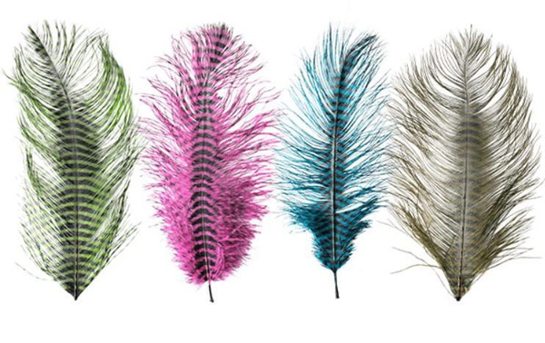 MFC Barred Ostrich Plume