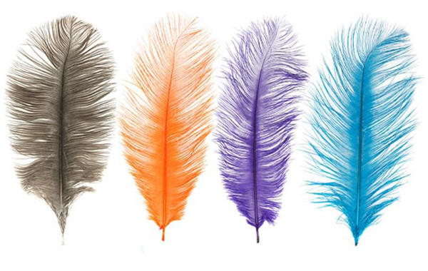 MFC Ostrich Plume