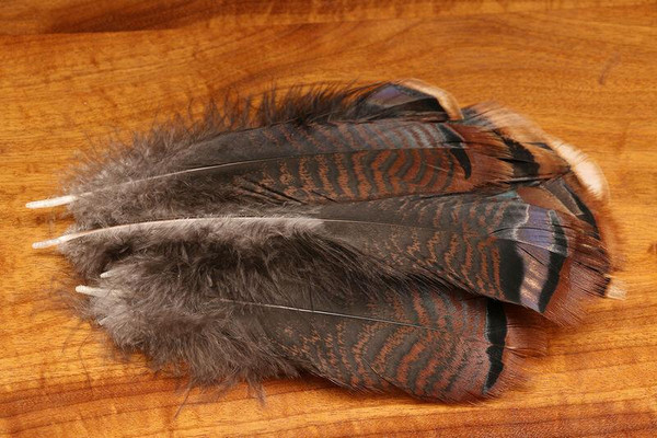 Hareline Turkey Shorts