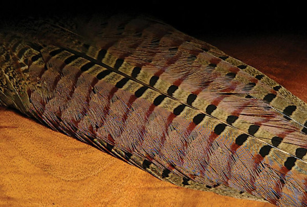 Hareline Ringneck Pheasant Tail Clump