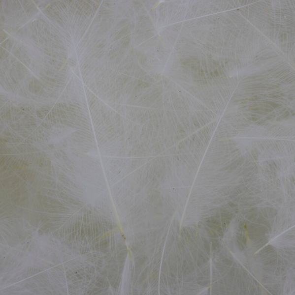 54 Dean Street  CDC Super Select