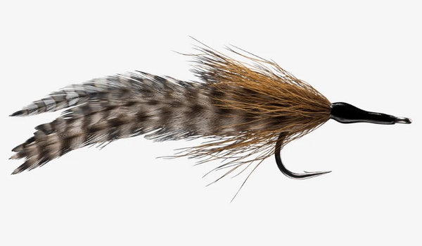Cockroach