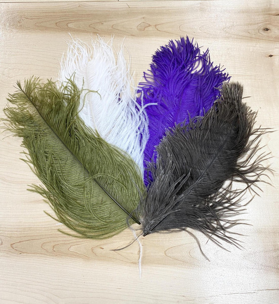 Ostrich Plumes - Wapsi