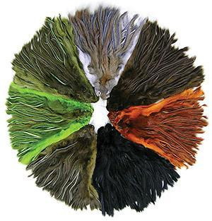 Pine Squirrel Skins - Zonked