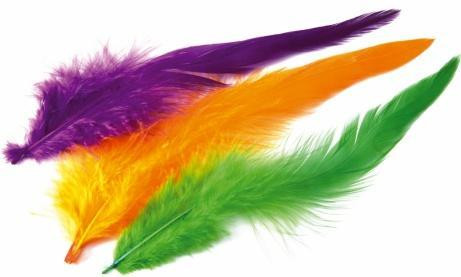 Wapsi Strung Schlappen - Long