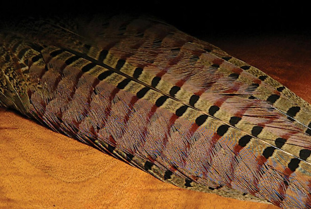 Hareline Ringneck Pheasant Tail Clump