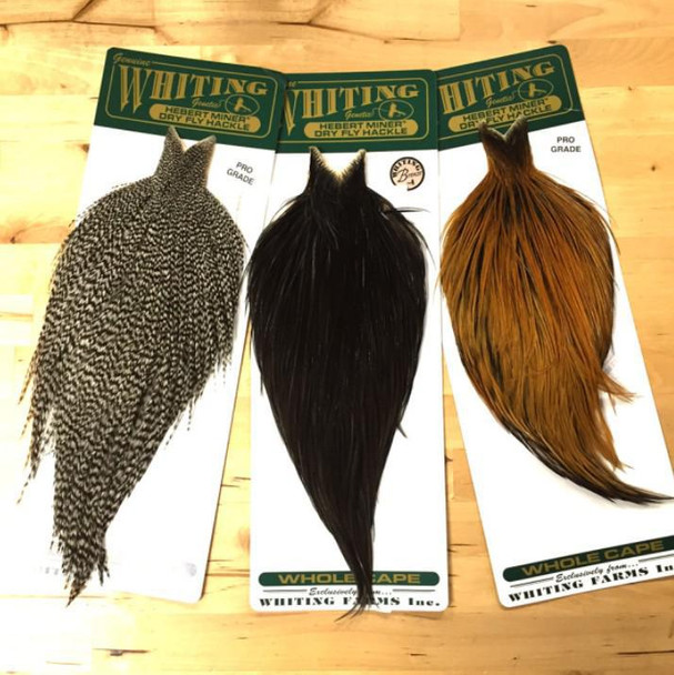 Hebert Bronze Capes