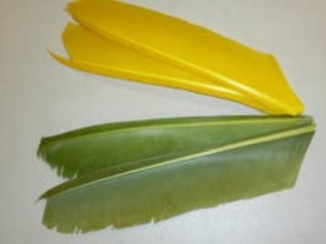 N.S. Turkey Biot Quills (Full Quills)
