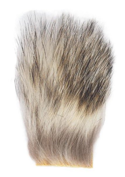Badger, Large