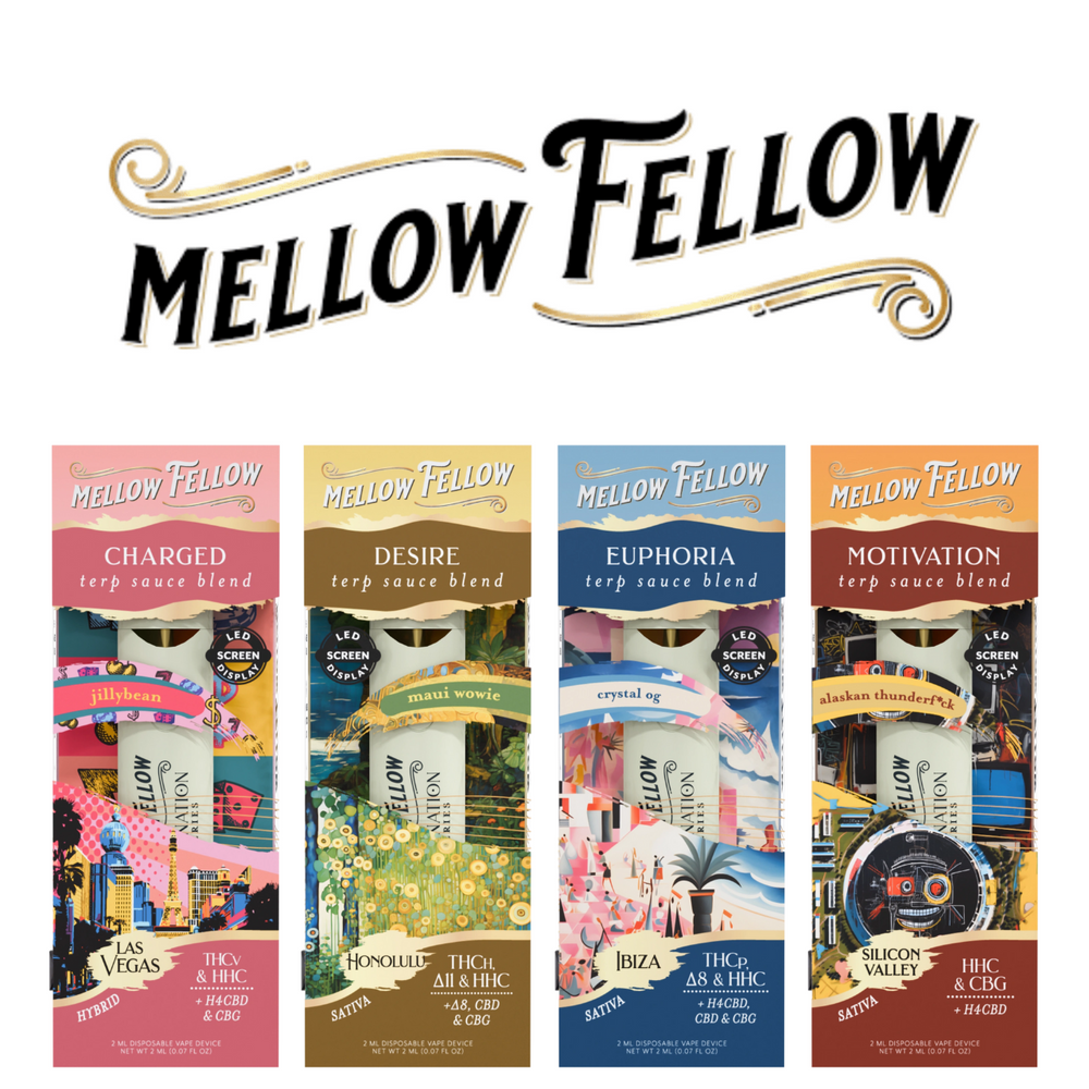 Terp Sauce Blend Disposable 2ml (Box of 6) by Mellow Fellow | HS CBD |