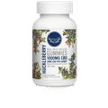Broad Spectrum CBD Gummies by Wyld CBD 25MG 40ct (Pack of 10) *Drop Ship* (MSRP $49.95 Each)