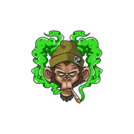 Space Monkey