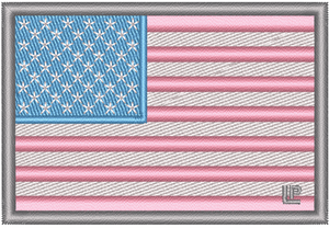 Transgender US Flag 2x3 Loyalty Patch Transgender US Flag 2x3 Loyalty Patch