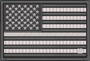 Thin Silver Line - Corrections - US Flag 2x3 Loyalty Patch
