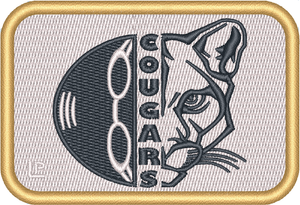 Newnan High School Swimming 2x3 Loyalty Patch