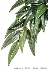 Exo Terra Silk Ruscus Terrarium Plant