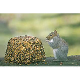 Nature's Window Kritter Block 6.5 lb