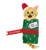 Kong Holiday Pull-A-Partz Present Cat Toy