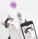 Kikkerland Kitty Phone Selfie Clip 