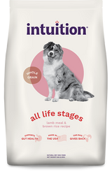 Intuition All Life Stages Lamb Meal & Brown Rice Recipe Dry Dog Food