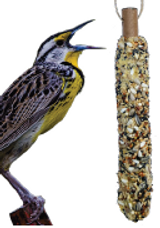 A&E Songbird's Select Seed Stick 1.94 oz