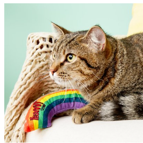 Yeowww Rainbow Catnip Pillow Cat Toy