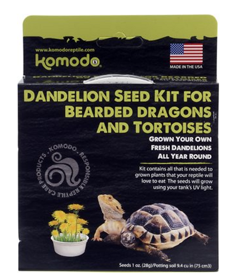 Komodo Bearded Dragon & Tortoise Dandelion Seed Kit