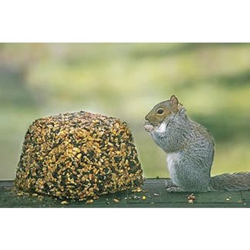 Nature's Window Kritter Block 6.5 lb