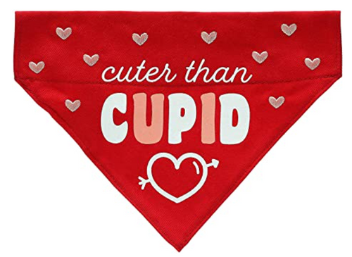 Pearhead Valentine's Day Cupid Pet Bandana