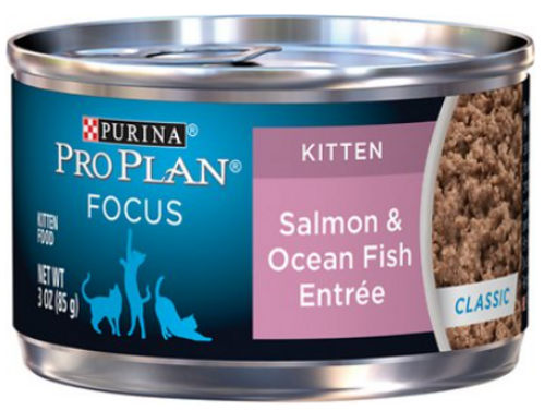 Purina Pro Plan Kitten Salmon & Ocean Fish Entrée Canned Cat Food