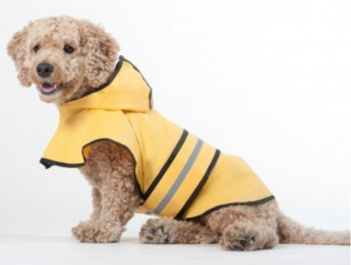 Spot Fashion Pet Dog Raincoat