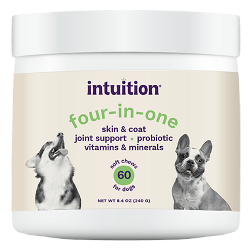 Intuition Soft Chews 4-in1 Multivitamin Supplement for Dogs 60 ct