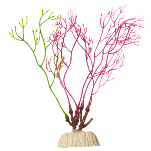 Tetra GloFish Red Algae Aquarium Plant S