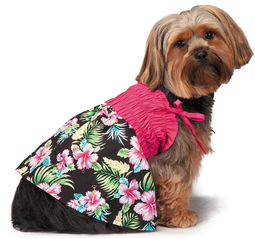 Pet Edge Hawaiian Breeze Camp Pet Dress