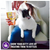 Wellness Kittles Grain-Free Salmon & Cranberries Recipe Crunchy Cat Treats 2 oz