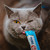 Inaba Ciao Churu Pops Chicken Recipe Cat Treat 4 pk