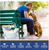 True Chews Premium Morsels Made With Real Chicken Dog Treats 11 oz
