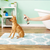 Naturvet Aller-911 Allergy Aid Anti-Lick Paw Spray for Dogs & Cats 8 oz