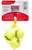 Kong Airdog Squeaker Ball Dog Toy