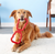 Kong Tug Dog Toy With Grips